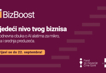 Besplatna obuka za primjenu vještačke inteligencije u biznisu AI BizBoost: Kako da vještačka inteligencija radi za vaš biznis?